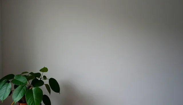 提示词检索在市场推广中的适用情况与限制